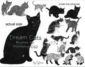 可爱小猫咪笔刷