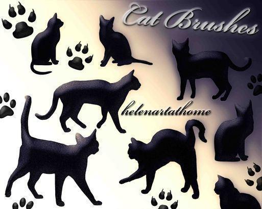 猫笔刷