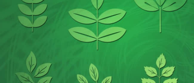 多种绿叶笔刷-玩吧资源站