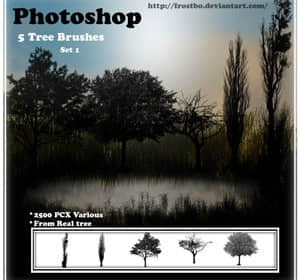 自然树木笔刷-玩吧资源站