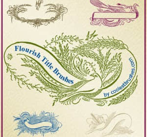 秀丽横幅标题笔刷-玩吧资源站