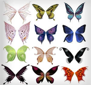 七彩蝴蝶翅膀笔刷-玩吧资源站