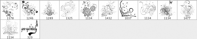 漂亮的花纹画笔笔刷