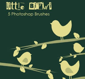 小鸟小鸡笔刷-玩吧资源站