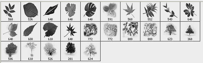叶子和树笔刷