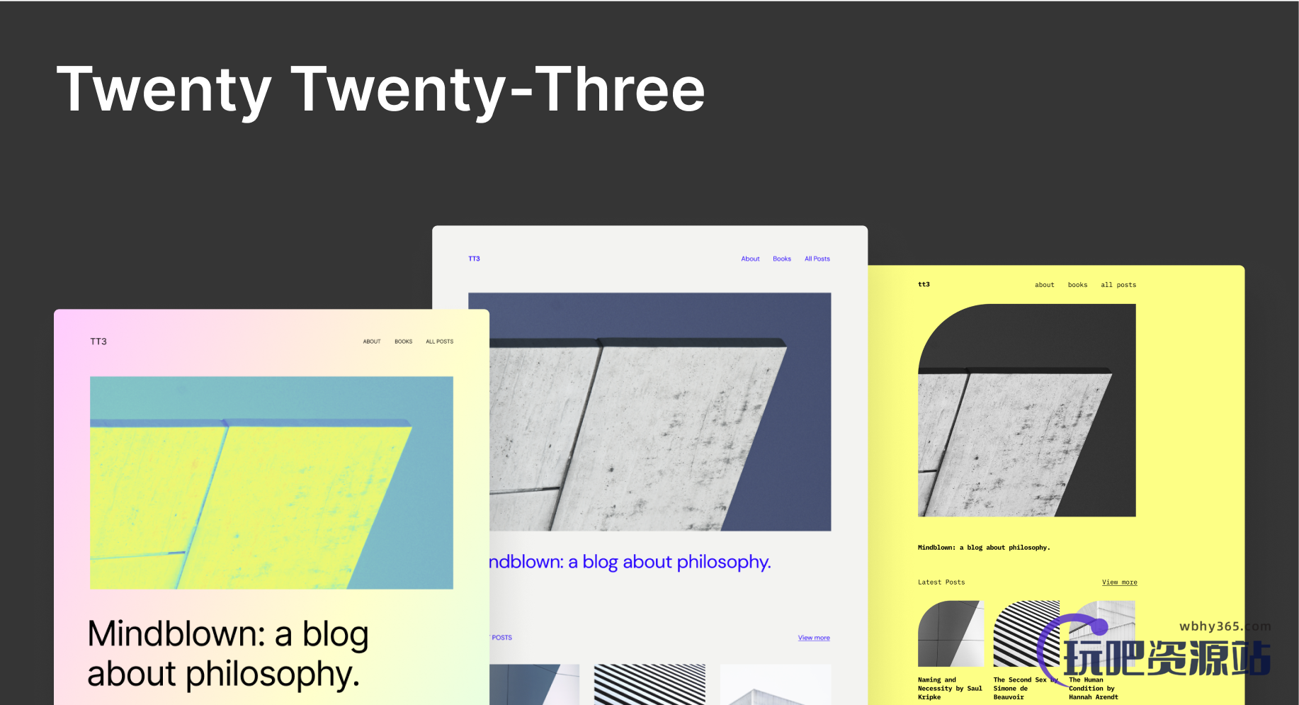 WordPress 最新默认主题 TT3(2023)详细介绍-玩吧资源站