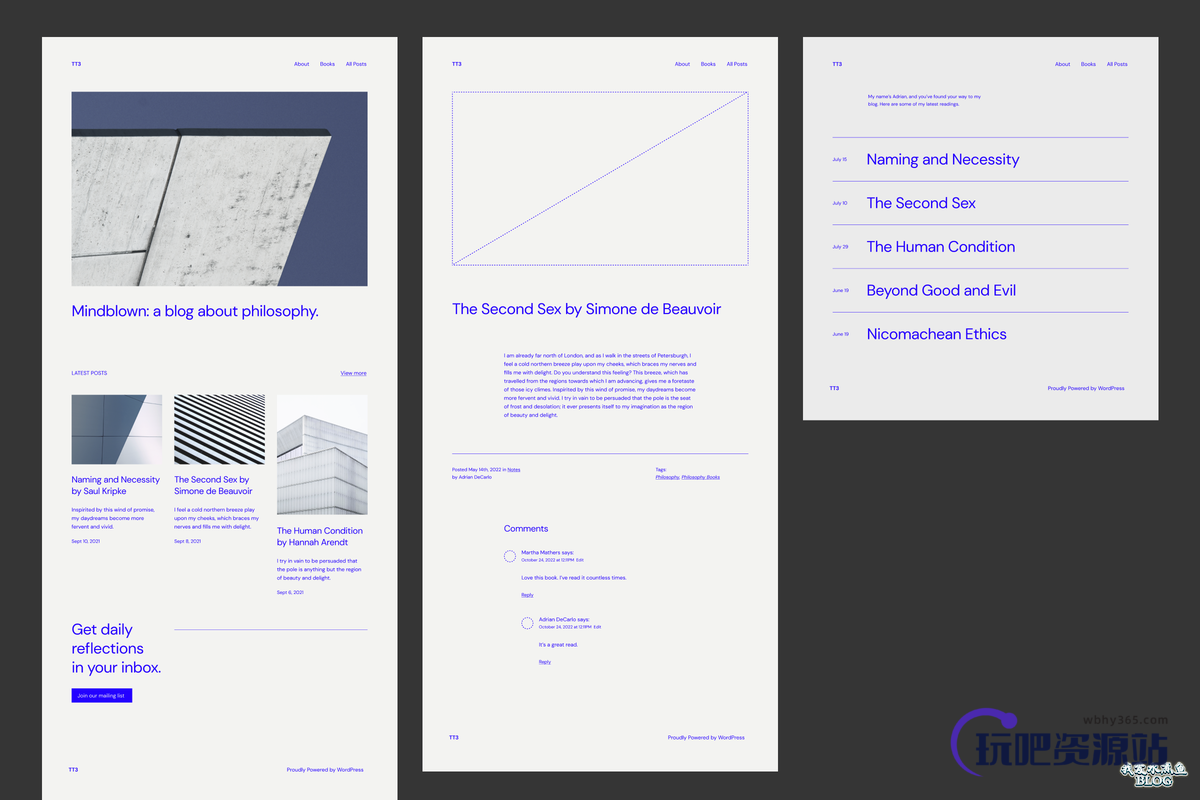 图片[3]-WordPress 宣布了新的默认主题 TT3 的 10 种排版风格-玩吧资源站