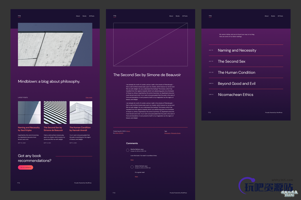 图片[9]-WordPress 宣布了新的默认主题 TT3 的 10 种排版风格-玩吧资源站