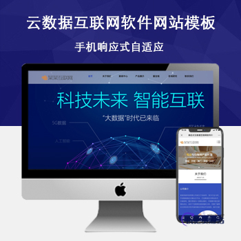 「自适应手机端」响应式云数据互联网软件网站模板-玩吧资源站