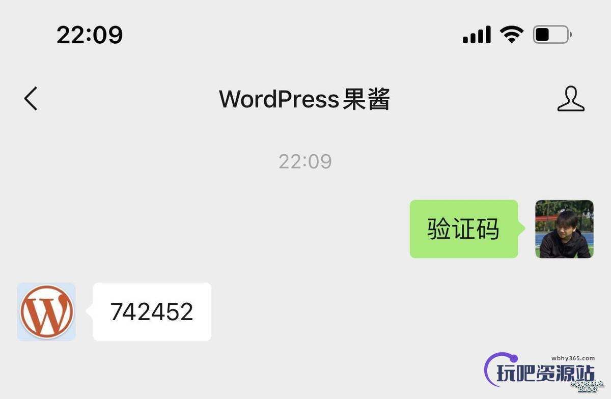 图片[3]-微码：微信公众号验证码查看全文 WordPress 插件-玩吧资源站