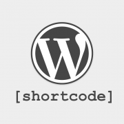 一文详解 WordPress Shortcode 简码-玩吧资源站