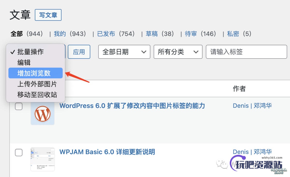 图片[3]-WPJAM Basic 扩展 – 文章浏览统计：一键统计文章在所有平台的浏览数-玩吧资源站