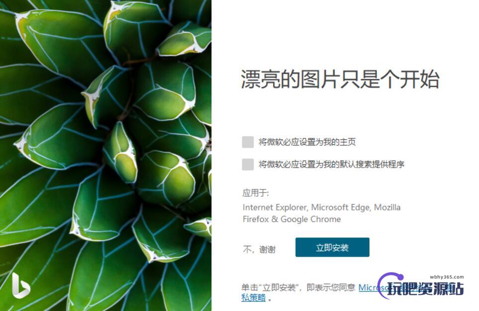 图片[1]-必应壁纸 Bing Wallpaper v2.0.0.0-玩吧资源站