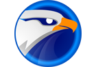 猎鹰高速下载器 EagleGet v2.1.6.70-玩吧资源站